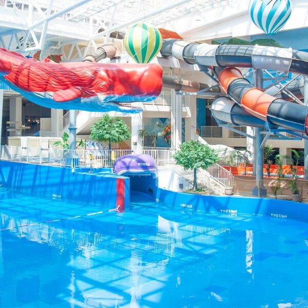 사진=송파파크하비오워터킹덤워터파크