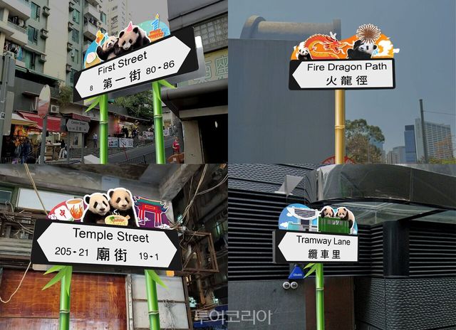 오션파크 홍콩 속 판다 콘텐츠 판다로 꾸며진 홍콩 도로 표지판 판다 쌍둥이 첫 생일을 기념해 홍콩 전역에서 축제가 열린다. 라부부 X 쌍둥이 판다 생일 한정판 피규어 오션파크 홍콩 속 판다 콘텐츠 /사진-홍콩관광청