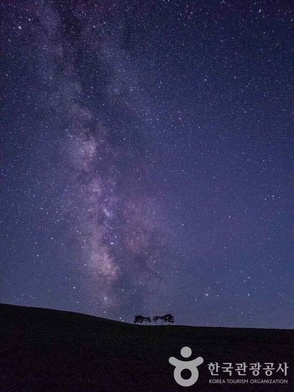 타임캡슐공원 야경&nbsp;(ⓒ한국관광공사 포토코리아-허은선)