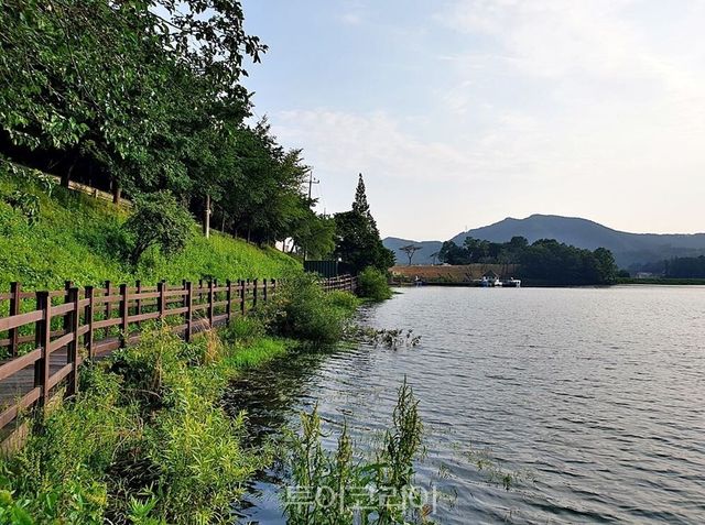 봉학골산림욕장 계곡 백야목재문화체험장 백야자연휴양림 물놀이장 용산저수지 물의 길/사진-음성군