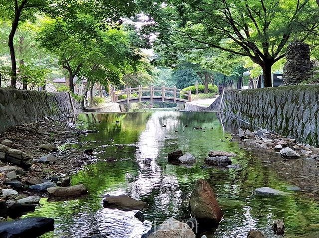봉학골산림욕장 계곡 백야목재문화체험장 백야자연휴양림 물놀이장 용산저수지 물의 길/사진-음성군