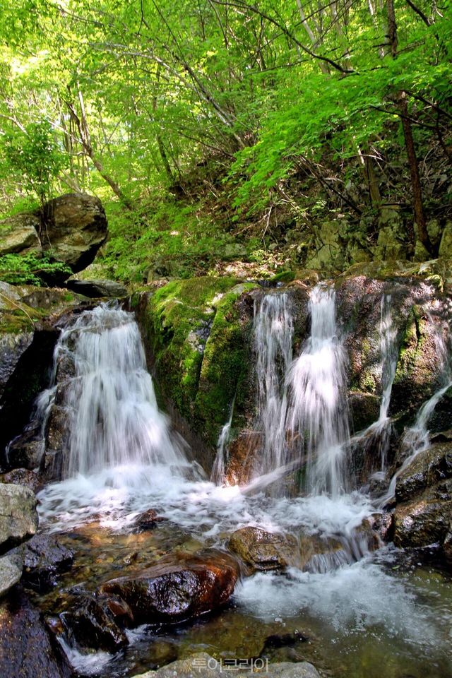 &nbsp;다리안계곡,&nbsp;사동계곡,&nbsp;선암계곡 /사진-단양군