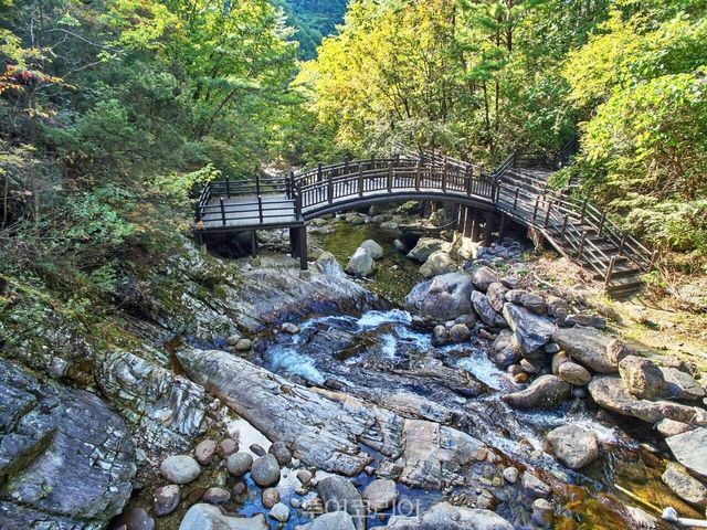 &nbsp;다리안계곡,&nbsp;사동계곡,&nbsp;선암계곡 /사진-단양군