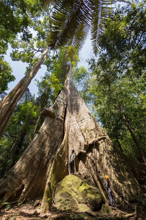 쥬라기공원 촬영지/사진-태국관광청