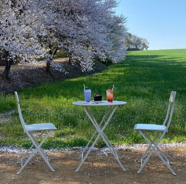 사진=카페피어라