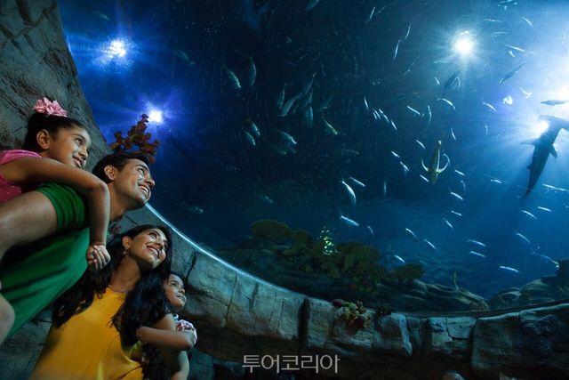 홍콩 오션파크/사진-홍콩관광청