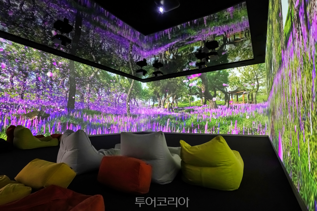 드라마 '무인도의 디바' 촬영지 경북 상주 맥문동솔숲을 재현한 장면/사진-한국관광공사