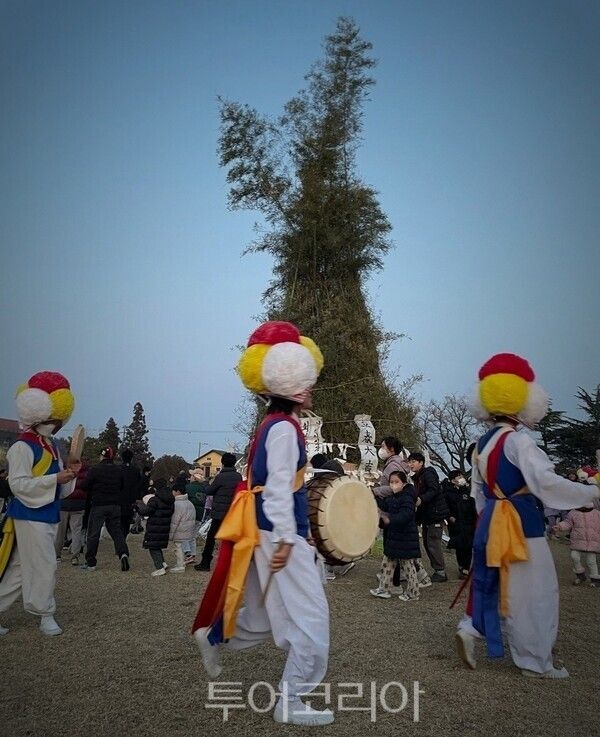 자료사진. /사진-군산시