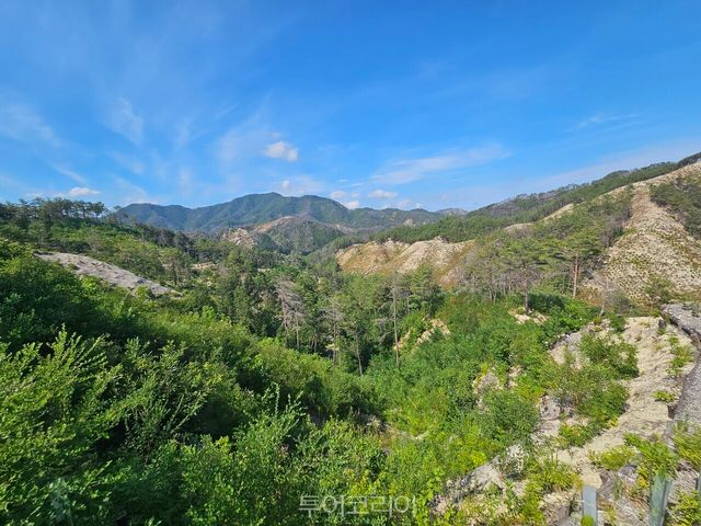 국립울진생태숲지정대상지 / 사진-산림청
