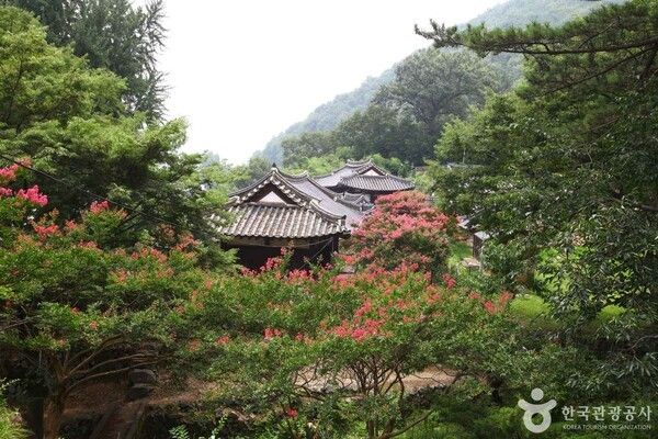 밀양 월연대 일원 (ⓒ한국관광공사)