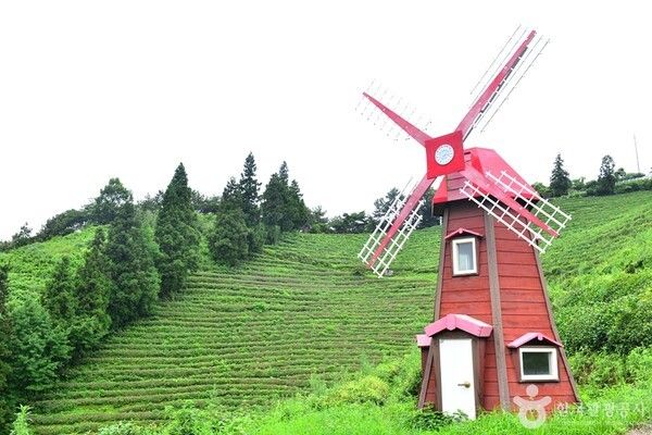 보성녹차밭&nbsp;(ⓒ한국관광공사 대한민국 구석구석)&nbsp;