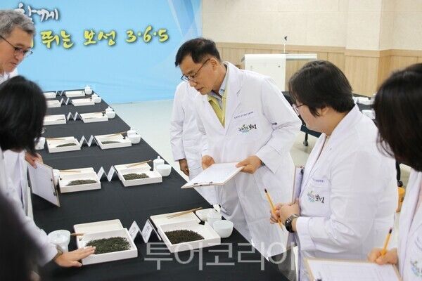 보성녹차 군수품질인증 품평 전문가인 9명의 심사위원이 참여해 다섯 가지 항목에 대해 평가를 실시했다. /사진-보성군