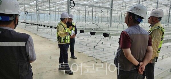 한국농어촌공사 강원지역본부 22일 양구군 지역특화 임대형 스마트팜 조성사업 특별 안전점검을 실시했다. /사진-한국농어촌공사 강원지역본부