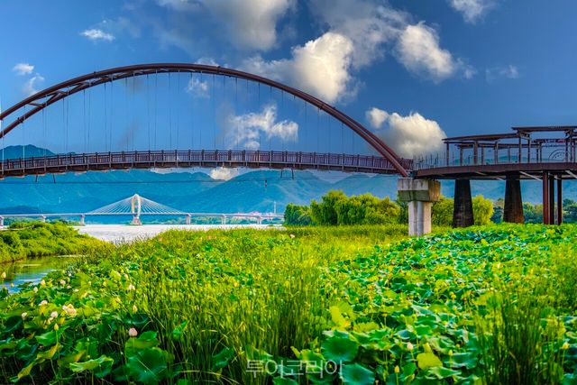 마장달빛교 전경 경관조명/사진-춘천시