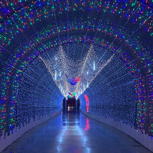 광양와인동굴&nbsp;&nbsp;(ⓒ대한민국 구석구석)