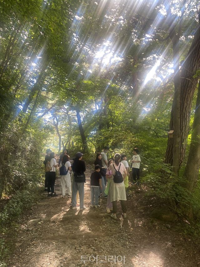 숲 생태학교/사진=경기도