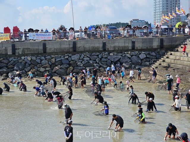 지난&nbsp;23일부터&nbsp;24일까지 열린 제19회 삼길포우럭축제 모습/사진-서산시