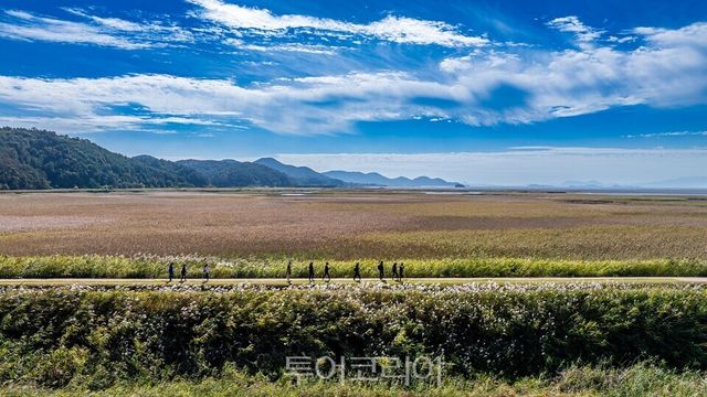 남파랑길을 걷는 사람들/사진-순천시