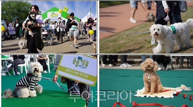 지난해 '동물행복 페스타'행사 모습/사진=서울시
