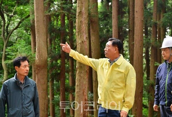 김한종 장성군수가 축령산 편백숲 산림자원을 살펴보고 있다. /사진-장성군