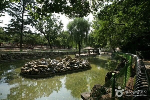 달성공원&nbsp;(ⓒ한국관광공사 대한민국 구석구석)&nbsp;