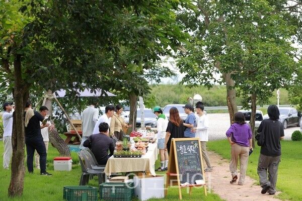 ‘문화가 있는 날-구석구석 문화배달’ 7월 행사 장면. /사진-화순군