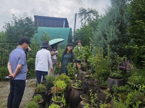 경북도내 유치원를 비롯해 중고등학교 교직원들이 농촌체험 활동을 하고 있다./사진-경북도