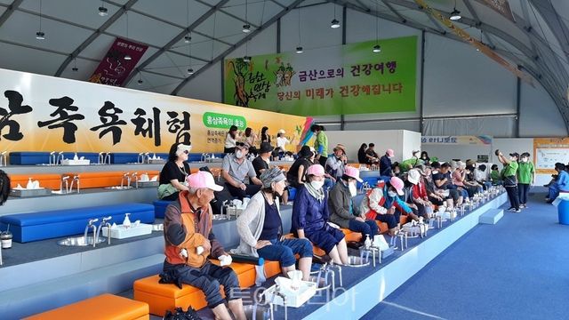 금산인삼족욕체험