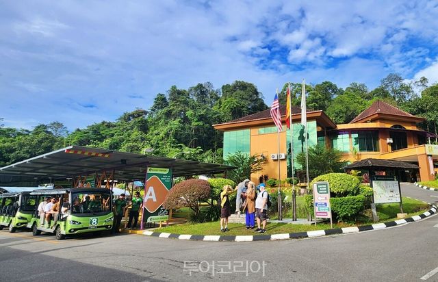 세멩고 오랑우탄