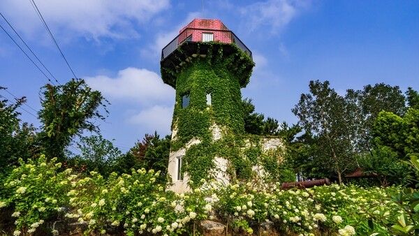 팜카밀레&nbsp;(ⓒ한국관광공사 포토코리아)