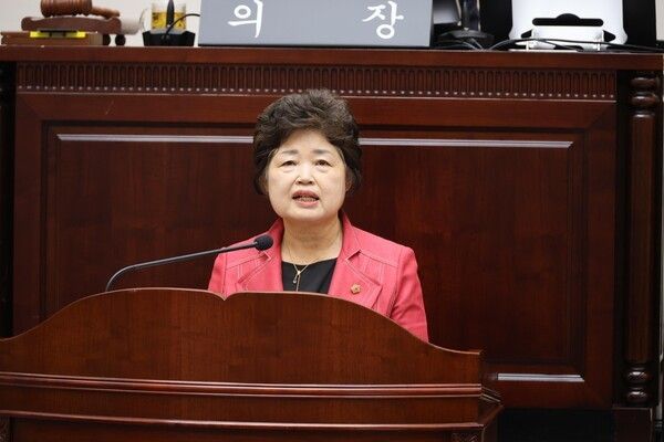 5분 자유발언 하는 이미재 용산구의원(사진제공=용산구의회)