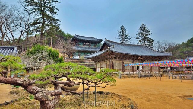 마곡사/사진-마곡사