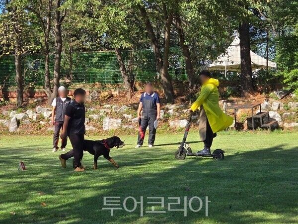 맹견 기질 테스트/사진=경기도