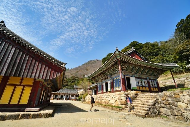 강진 백련사/사진-투어코리아