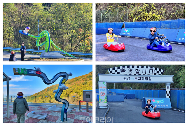 횡성루지체험장