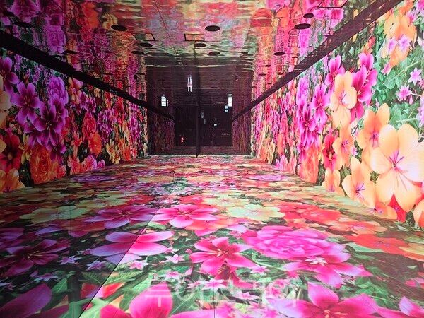 IFEZ 홍보관 미디어 터널