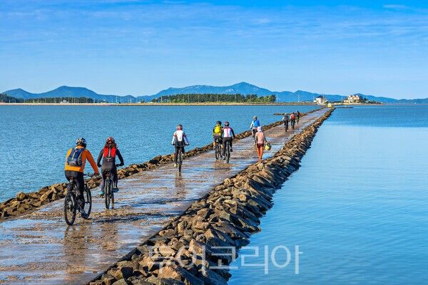 신안 화도가는 길. /사진-전남도