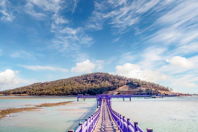 신안 퍼플섬/사진=승우여행사