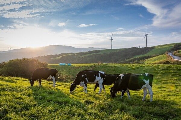 삼양라운드힐 (ⓒ 대한민국 구석구석)