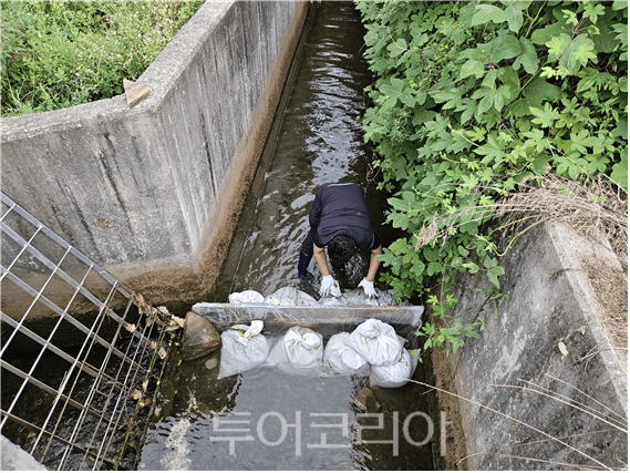 농어촌공사 직원이 집중급수를 위해 수로에 물막이시설을 설치하고 있다. /사진-한국농어촌공사