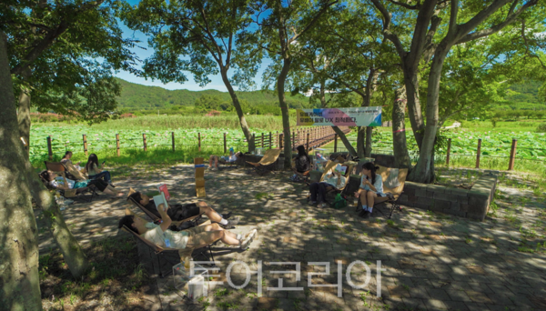 강진군 병영면 홍교 하고저수지에서 한가로이 책을 읽고 있는 모습. /사진-강진군