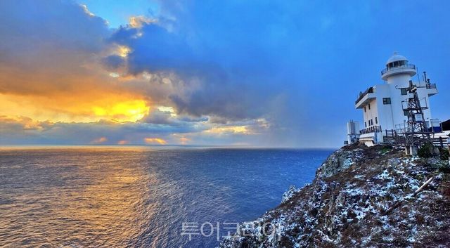 서경덕 성신여대 교수 제공