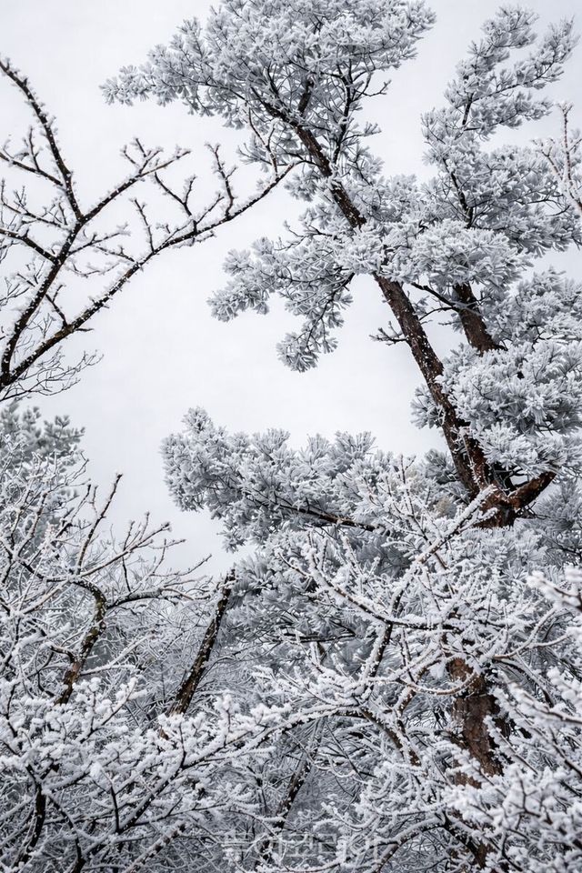 경북여행 MVTI 1월호 관련사진/경북문화관광공사 제공