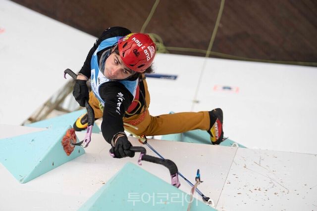 스피드, 캐나다 선수 경기장면. /제공= 대한산악연맹