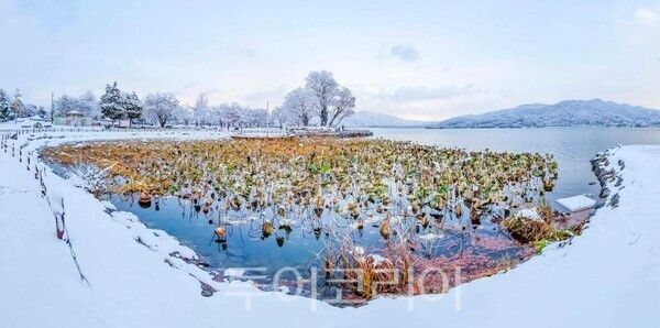 남한강과 북한강이 만나는 양평의 대표 관광지 '두물머리' 겨울 전경/투어코리아뉴스 김경남 기자