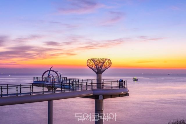 도째비골 스카이밸리/사진=동해시