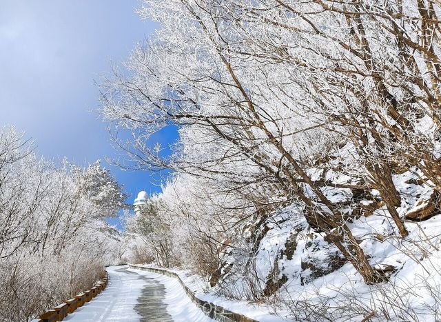 소백산 겨울 / 사진- 단양군