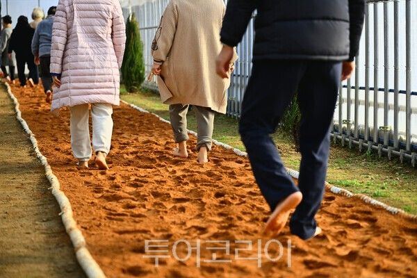 꽃묘장 맨발황톳길 걷는 발길/사진=속초시
