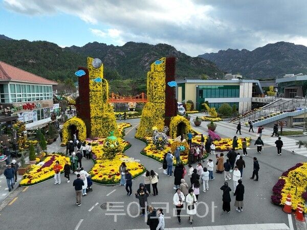 지난해 국화축제 모습. /사진-영암군