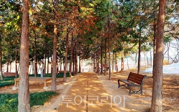 ▲시민공원 내 맨발걷기길 모습. /사진-논산시